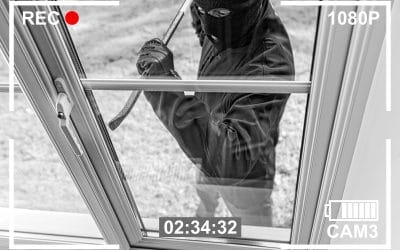 Everything You Need To Know About Burglary.
