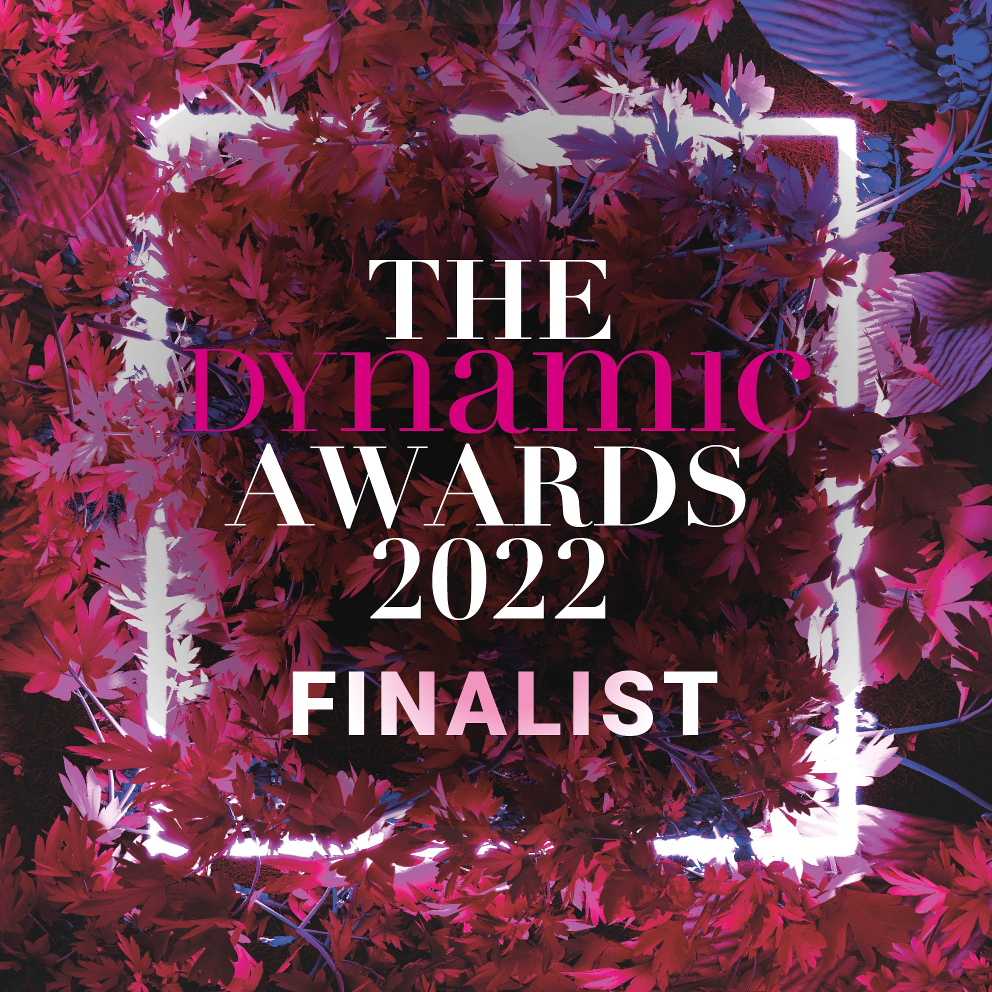 Dynamic 2022