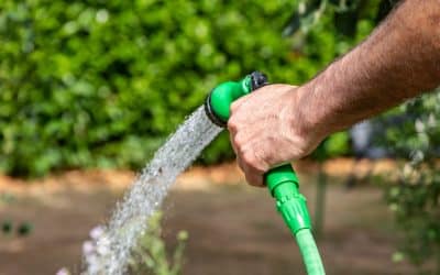 Hosepipe Ban UK: What’s The Law?