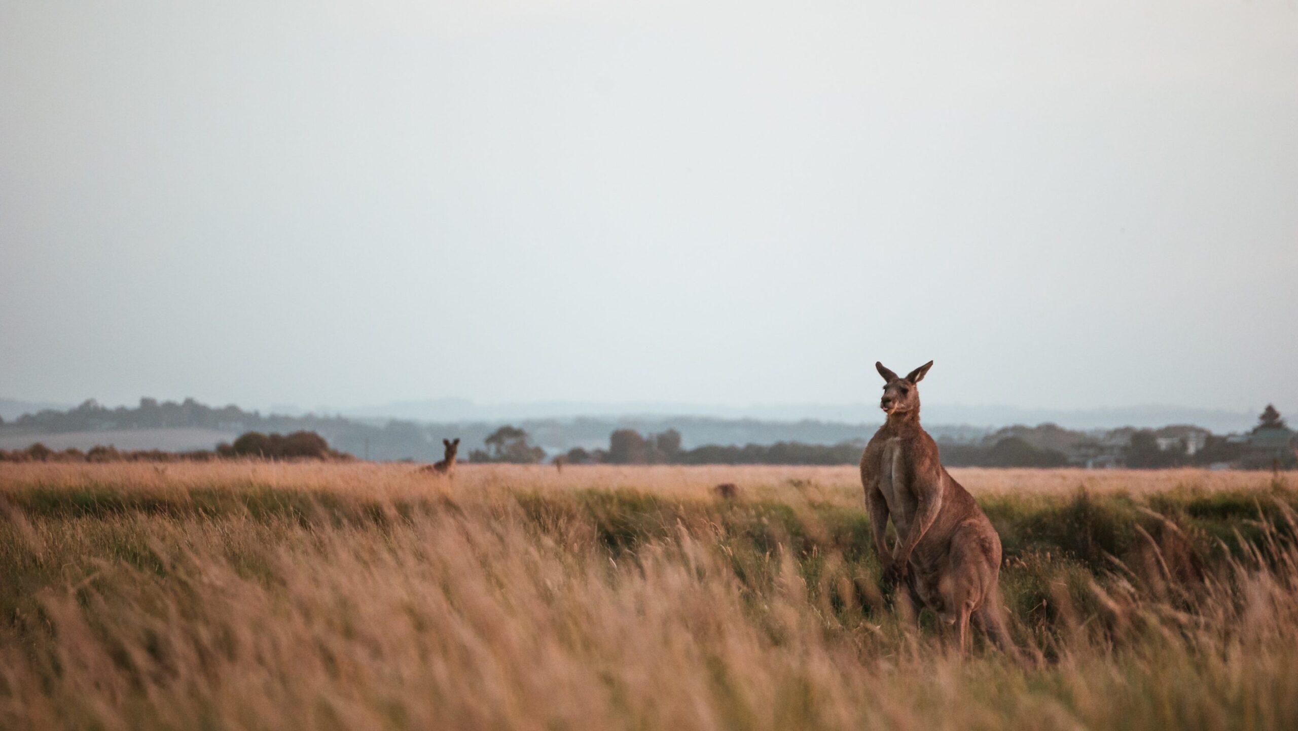 5 Things to Do Before Moving to Australia from the UK