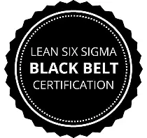 Lean Six Sigma Black Belt