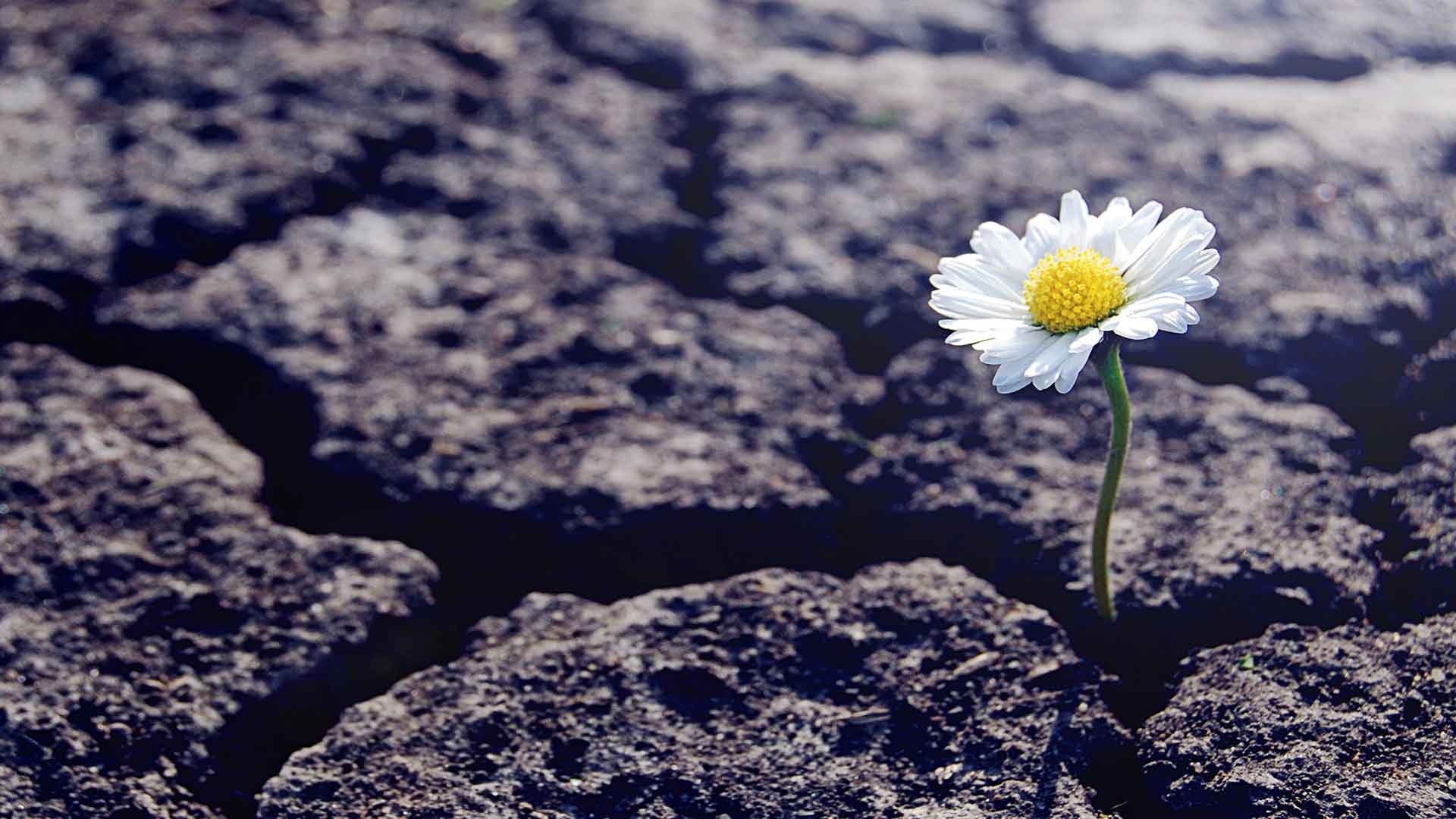 4 Key Considerations for Life After Divorce